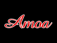 越南AMOA